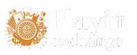Playinexch logo